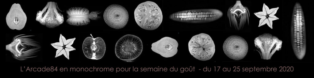 visuel pour la semaine du goût 2020 représentant des légumes en monochrome
