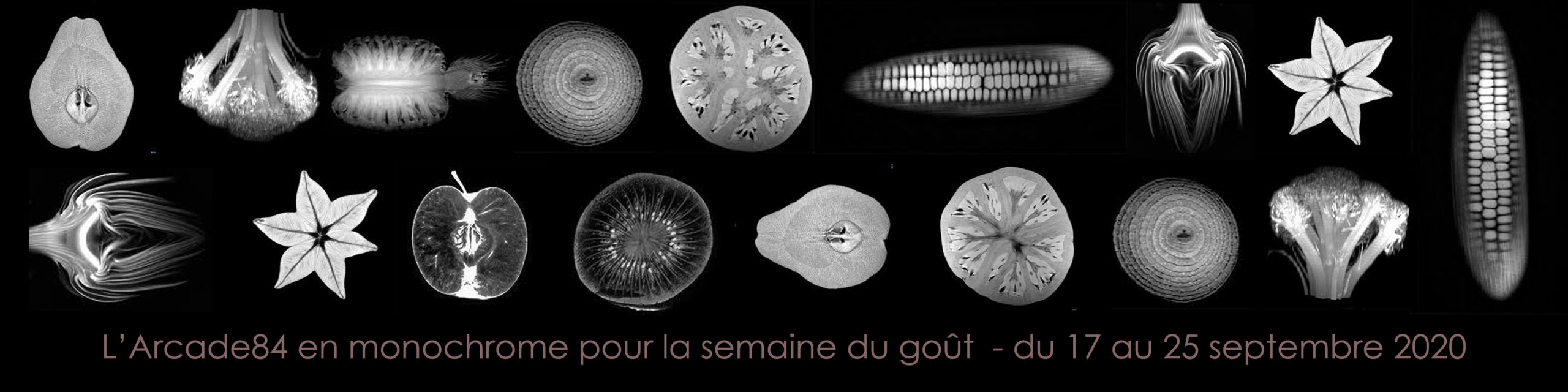 Semaine du goût 2020 - Arcade 84 - Centre de jour et centre d'ergothérapie